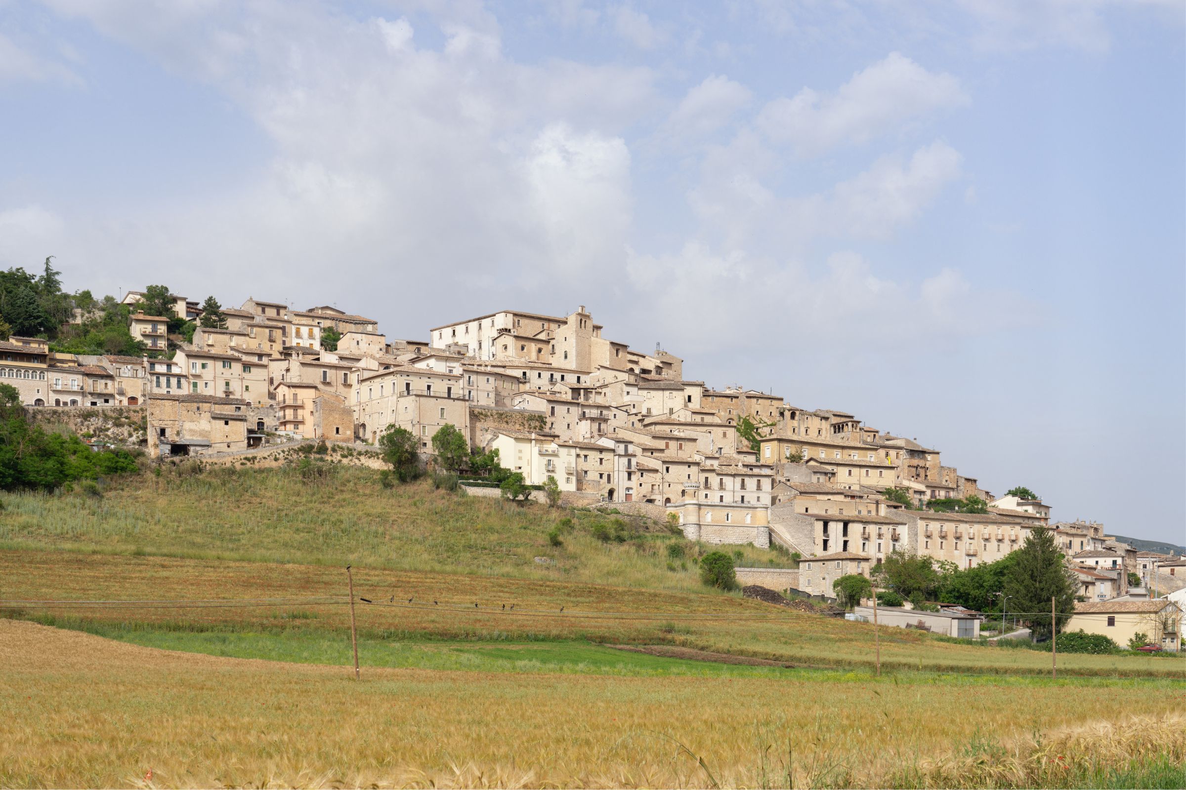 In Abruzzo c’è un borgo di pietra affacciato su una piana tutta viola: Navelli, il paese dello zafferano