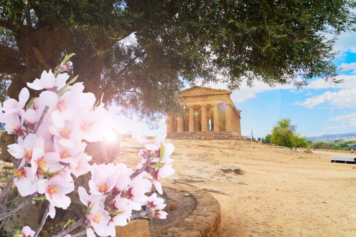 Non è ancora primavera, ma in questo borgo italiano la fioritura è già uno spettacolo (e pochi lo sanno)