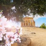 Fioritura mandorli Agrigento Valle dei Templi 2026