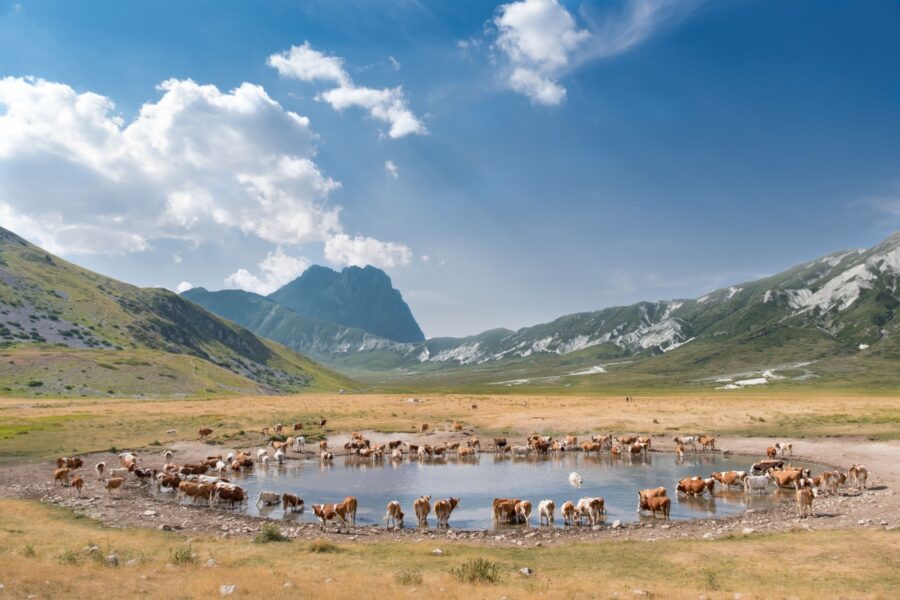 Dimenticate le Highlands: in Abruzzo c’è una piccola Scozia che sfida i paesaggi del Nord